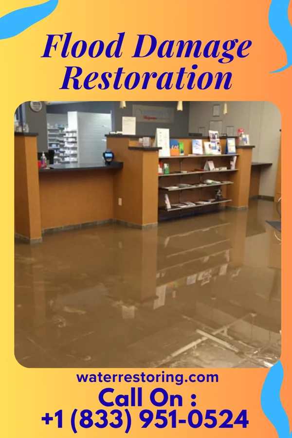 Flood Damage Restoration in Donnelly, MN