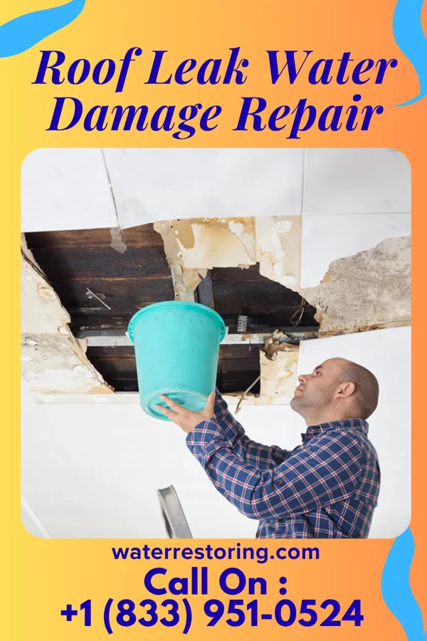 Roof Leak Water Damage Repair in Donnelly, MN